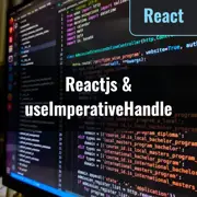 [Reactjs] How to Call Child Component Function Using useImperativeHandle