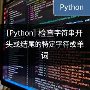 [Python] 检查字符串开头或结尾的特定字符或单词