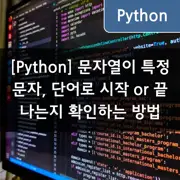 [Python] 문자열이 특정 문자, 단어로 시작 or 끝나는지 확인하는 방법