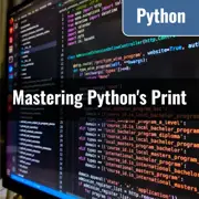 [Python] Understanding Print Function: Mastering %d, %f, %.nf, %s, %c, %x, %X, %o, and %%
