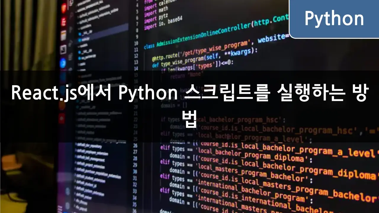 React.js에서 Python 스크립트를 실행하는 방법 - CloneCoding