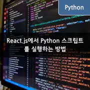 React.js에서 Python 스크립트를 실행하는 방법 