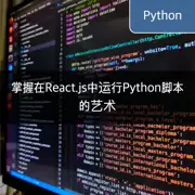 掌握在React.js中运行Python脚本的艺术