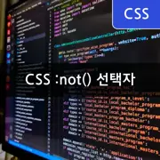 [CSS] :not() 선택자로 여러개의 클래스 제외하는 방법